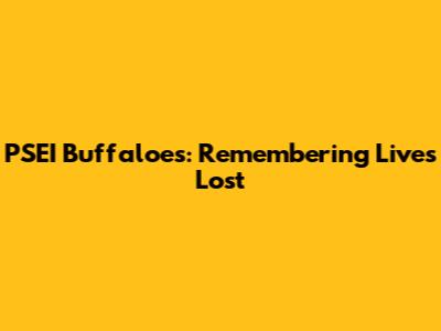 PSEI Buffaloes: Remembering Lives Lost