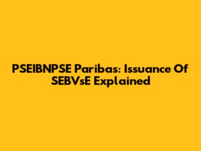 PSEIBNPSE Paribas: Issuance Of SEBVsE Explained