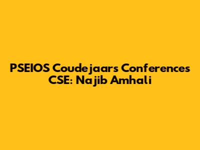 PSEIOS Coudejaars Conferences CSE: Najib Amhali