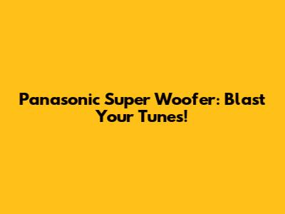 Panasonic Super Woofer: Blast Your Tunes!