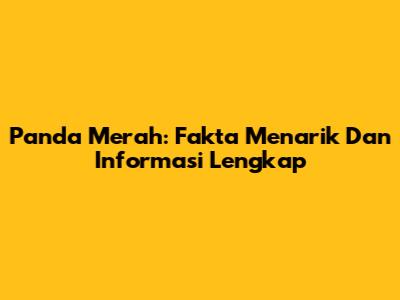 Panda Merah: Fakta Menarik Dan Informasi Lengkap