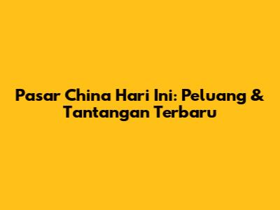 Pasar China Hari Ini: Peluang & Tantangan Terbaru