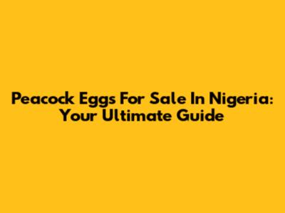 Peacock Eggs For Sale In Nigeria: Your Ultimate Guide