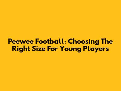 Peewee Football: Choosing The Right Size For Young Players