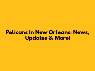 Pelicans In New Orleans: News, Updates & More!