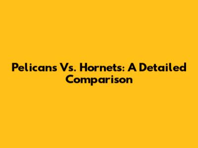 Pelicans Vs. Hornets: A Detailed Comparison