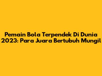 Pemain Bola Terpendek Di Dunia 2023: Para Juara Bertubuh Mungil