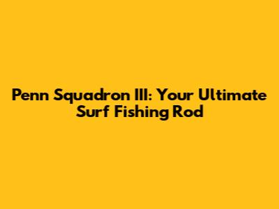 Penn Squadron III: Your Ultimate Surf Fishing Rod