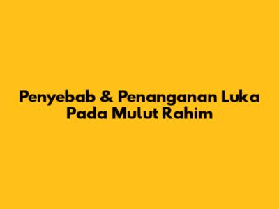 Penyebab & Penanganan Luka Pada Mulut Rahim