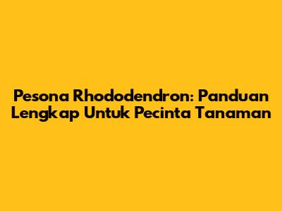 Pesona Rhododendron: Panduan Lengkap Untuk Pecinta Tanaman