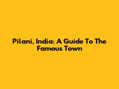 Pilani, India: A Guide To The Famous Town