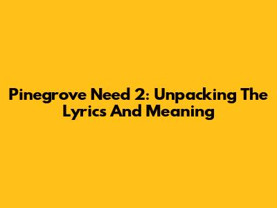 Pinegrove Need 2: Unpacking The Lyrics And Meaning