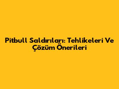 Pitbull Saldırıları: Tehlikeleri Ve Çözüm Önerileri