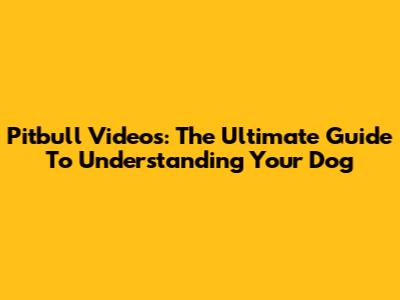 Pitbull Videos: The Ultimate Guide To Understanding Your Dog
