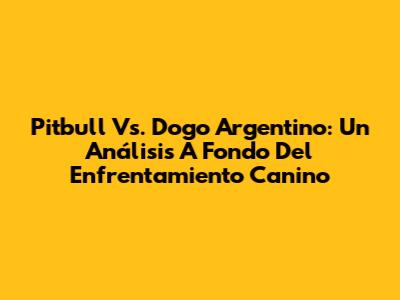 Pitbull Vs. Dogo Argentino: Un Análisis A Fondo Del Enfrentamiento Canino