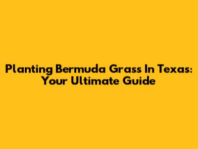 Planting Bermuda Grass In Texas: Your Ultimate Guide