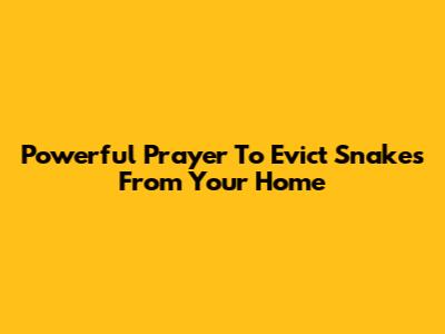 Powerful Prayer To Evict Snakes From Your Home