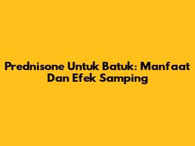 Prednisone Untuk Batuk: Manfaat Dan Efek Samping