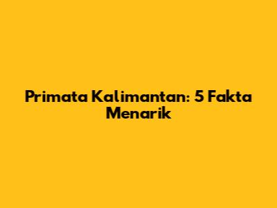 Primata Kalimantan: 5 Fakta Menarik