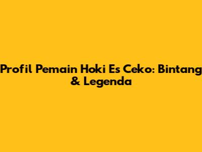Profil Pemain Hoki Es Ceko: Bintang & Legenda