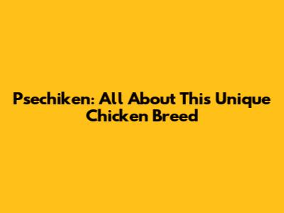Psechiken: All About This Unique Chicken Breed