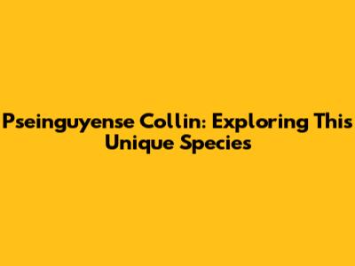 Pseinguyense Collin: Exploring This Unique Species