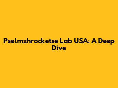 Pselmzhrocketse Lab USA: A Deep Dive