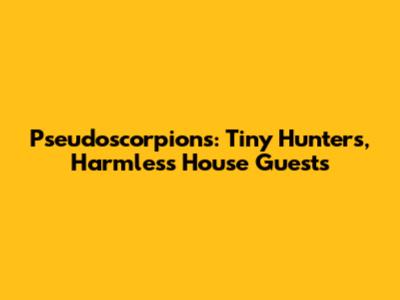 Pseudoscorpions: Tiny Hunters, Harmless House Guests