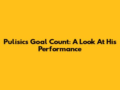 Pulisic's Goal Count: A Look At His Performance