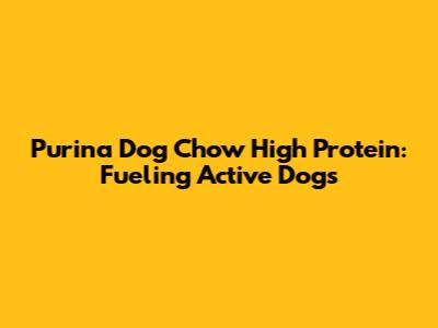 Purina Dog Chow High Protein: Fueling Active Dogs