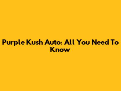 Purple Kush Auto: All You Need To Know