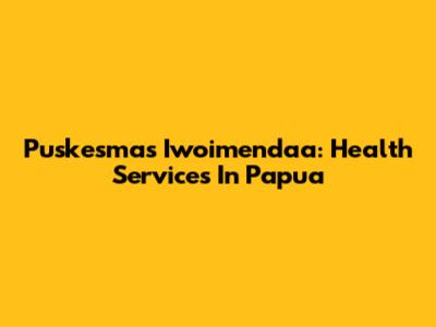 Puskesmas Iwoimendaa: Health Services In Papua