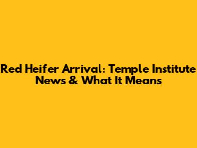 Red Heifer Arrival: Temple Institute News & What It Means