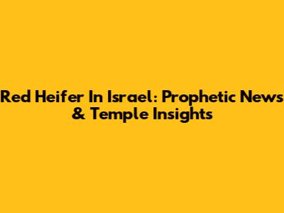Red Heifer In Israel: Prophetic News & Temple Insights