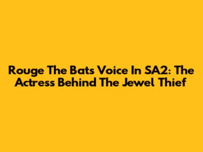 Rouge The Bat's Voice In SA2: The Actress Behind The Jewel Thief