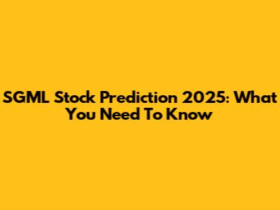 SGML Stock Prediction 2025: What You Need To Know