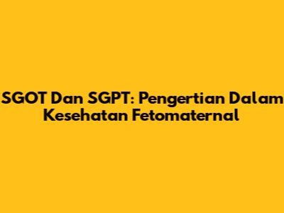 SGOT Dan SGPT: Pengertian Dalam Kesehatan Fetomaternal