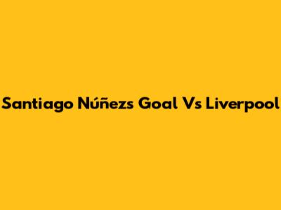 Santiago Núñez's Goal Vs Liverpool