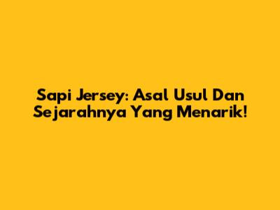 Sapi Jersey: Asal Usul Dan Sejarahnya Yang Menarik!