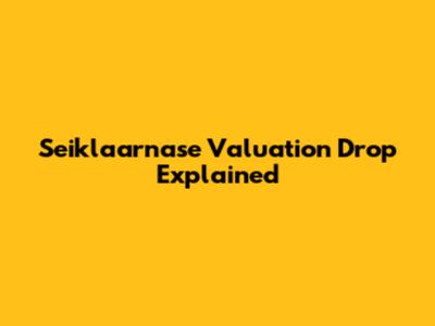 Seiklaarnase Valuation Drop Explained