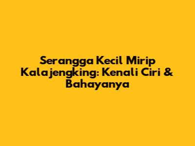 Serangga Kecil Mirip Kalajengking: Kenali Ciri & Bahayanya