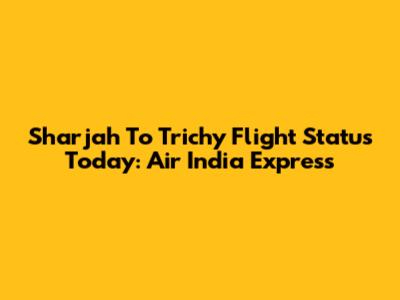 Sharjah To Trichy Flight Status Today: Air India Express