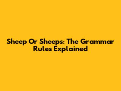 Sheep Or Sheeps: The Grammar Rules Explained