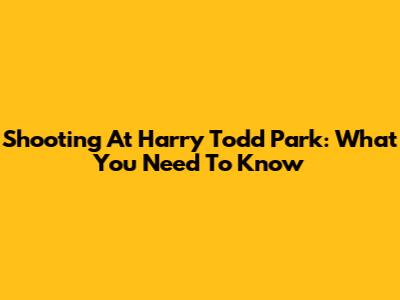 Shooting At Harry Todd Park: What You Need To Know