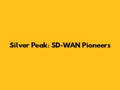 Silver Peak: SD-WAN Pioneers