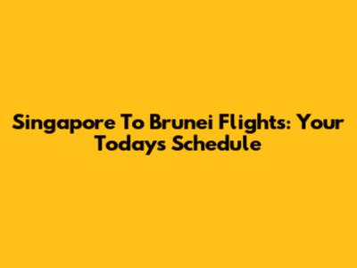 Singapore To Brunei Flights: Your Today's Schedule
