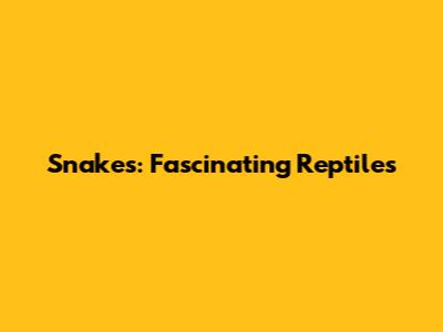 Snakes: Fascinating Reptiles