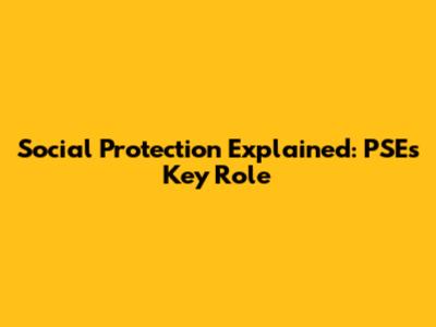 Social Protection Explained: PSE's Key Role