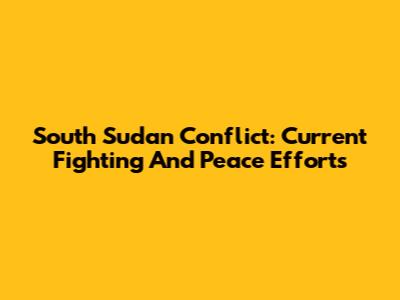 South Sudan Conflict: Current Fighting And Peace Efforts
