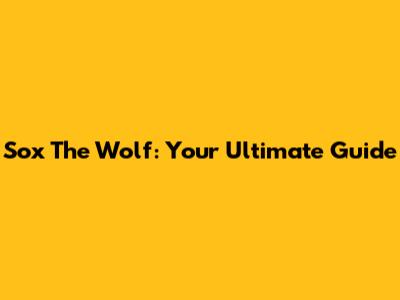 Sox The Wolf: Your Ultimate Guide